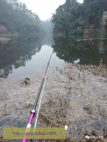 钓鱼久坐耐受需训练，腰背放松与定时起身缺一不可